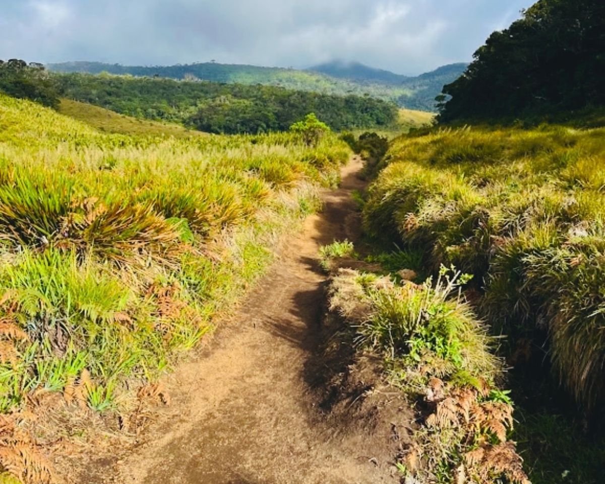 Dirt hiking trail through montane grassland and cloud forest at Horton Plains National Park, Sri Lanka with distant hills
