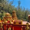 Seetha Amman Kovil - Vimana and Gopuram in Nuwara Eliya Red and gold vimana and gopuram at Seetha Amman Kovil Hindu temple in Nuwara Eliya, Sri Lanka with eucalyptus forest