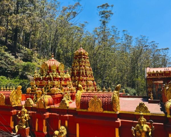 Seetha Amman Kovil - Vimana and Gopuram in Nuwara Eliya Red and gold vimana and gopuram at Seetha Amman Kovil Hindu temple in Nuwara Eliya, Sri Lanka with eucalyptus forest