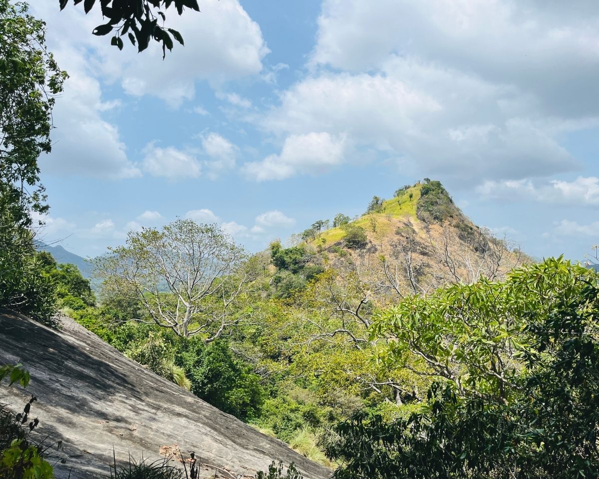 Scenic view of Dahaiyagala Dahaiya Kanda rocky hill peak with dry grass and green forest under blue sky with clouds seen from path to Dambulla Cave Temple Sri Lanka