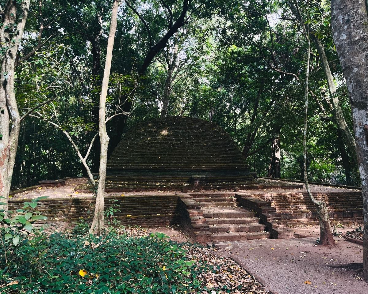 Front view of ancient brick stupa with stone steps surrounded by trees and fallen leaves in Jathika Namal Uyana ironwood forest Dambulla Sri Lanka