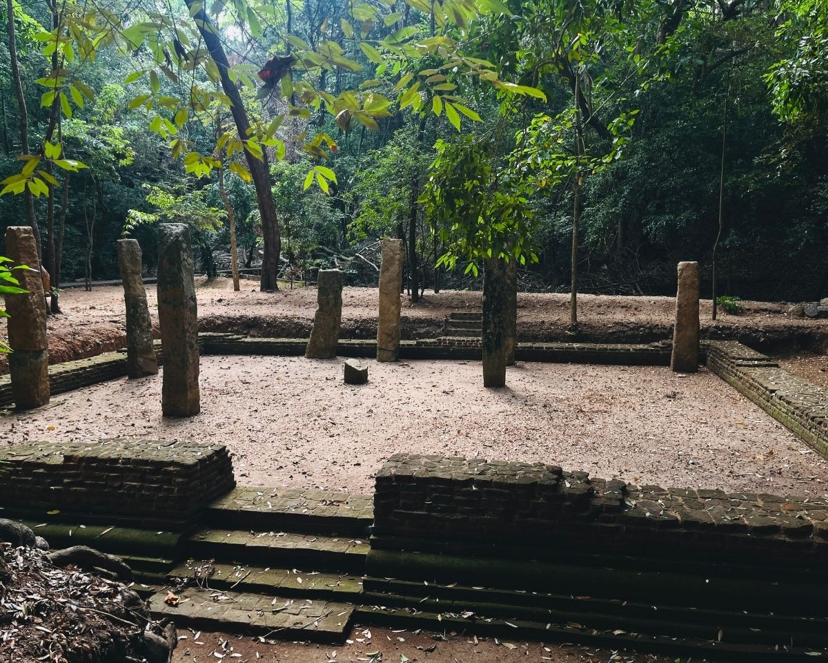 Ancient temple foundation with brick entrance steps and standing stone pillars surrounded by ironwood forest in Jathika Namal Uyana Dambulla Sri Lanka