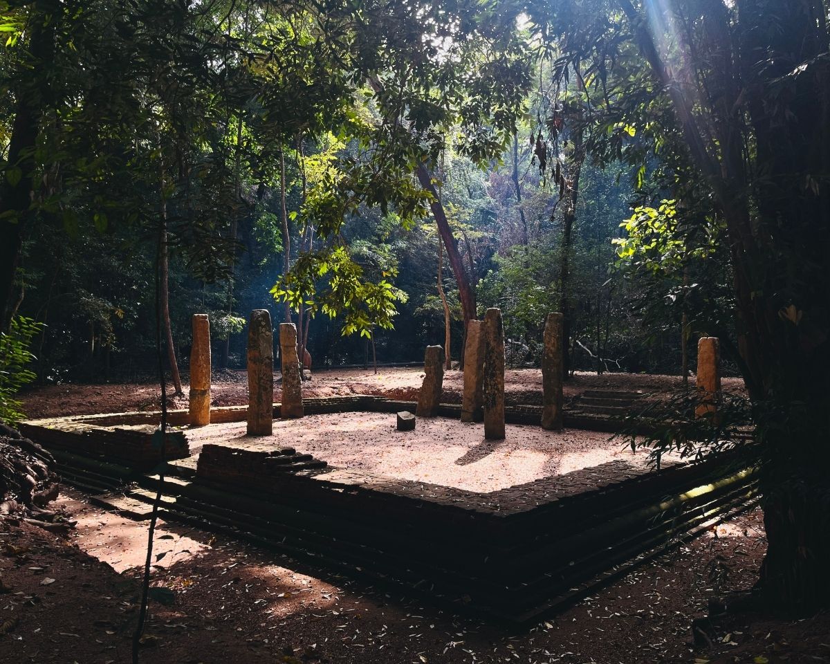 Ancient temple foundation with standing stone pillars and sunlight through trees in Jathika Namal Uyana ironwood forest reserve Dambulla Sri Lanka