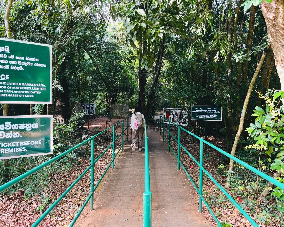 Entrance walkway with green railings and forest rules signboards at Jathika Namal Uyana pink quartz mountain and ironwood forest, Dambulla Sri Lanka