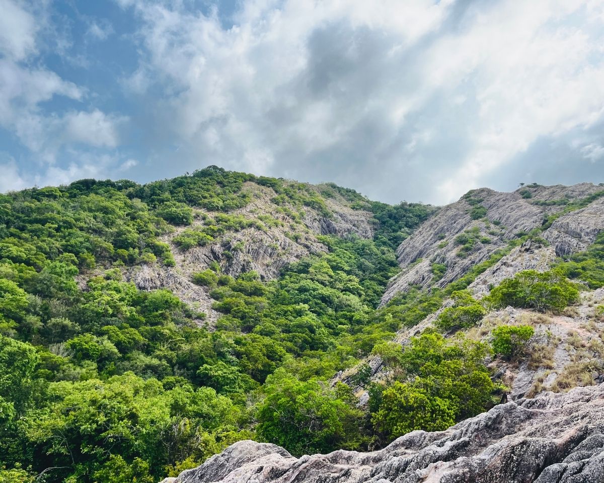 Deep valley between two rocky Pink Quartz Mountain ridges filled with dense green ironwood forest canopy in Jathika Namal Uyana Dambulla Sri Lanka