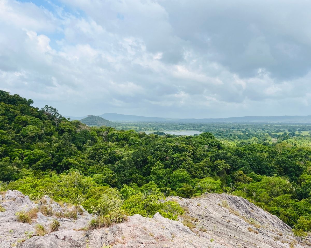 Panoramic view from Pink Quartz Mountain summit overlooking Ranawa Wewa lake and dense green ironwood forest canopy in Jathika Namal Uyana Dambulla Sri Lanka
